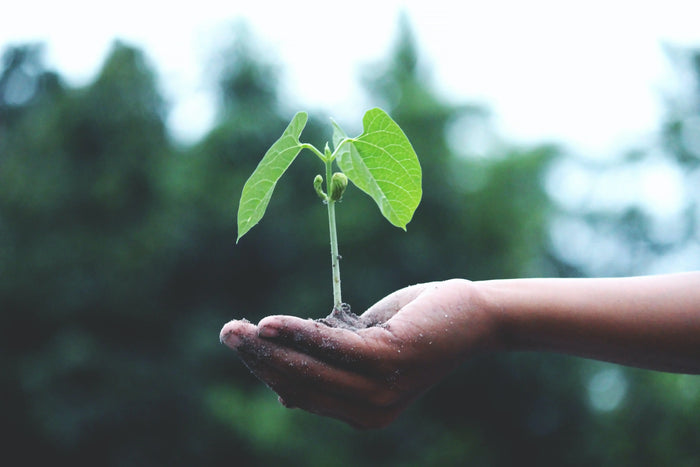 Sustainability-Is-at-the-Core-of-Our-Business safeloadshop.com