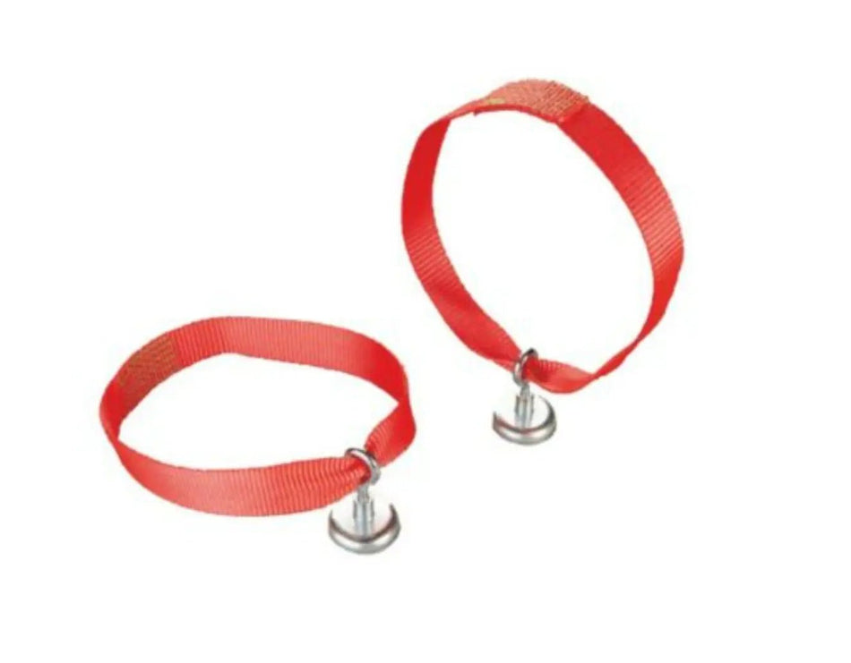 Strap Magnet - safeloadshop.com